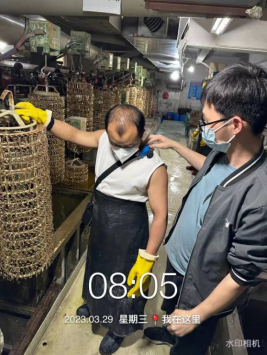 1684113732998294.jpg 1684113826858.jpg