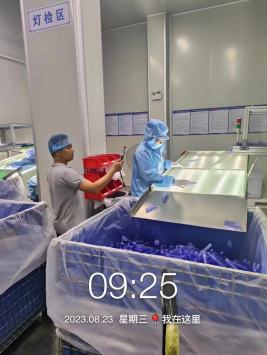 1694073306824445.jpg 1694073446872.jpg