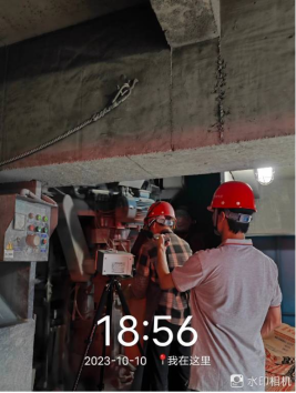 1699339925350536.jpg 1699340091448.jpg