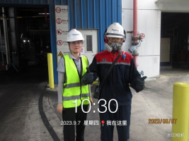 1699501703118509.jpg 1699501866987.jpg