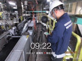 1699501712555153.jpg 1699501878573.jpg