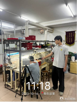 1700119379123651.jpg 1700119548457.jpg