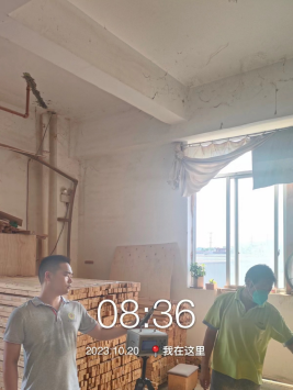 1700729608102372.jpg 1700729778924.jpg