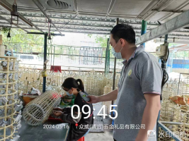 1718940794811880.jpg 1718940905408.jpg