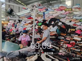 1728435724110303.jpg 1728435874388.jpg