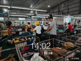 1728876870625337.jpg 1728877022907.jpg