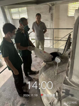 1734428005397312.jpg 1734428182037.jpg